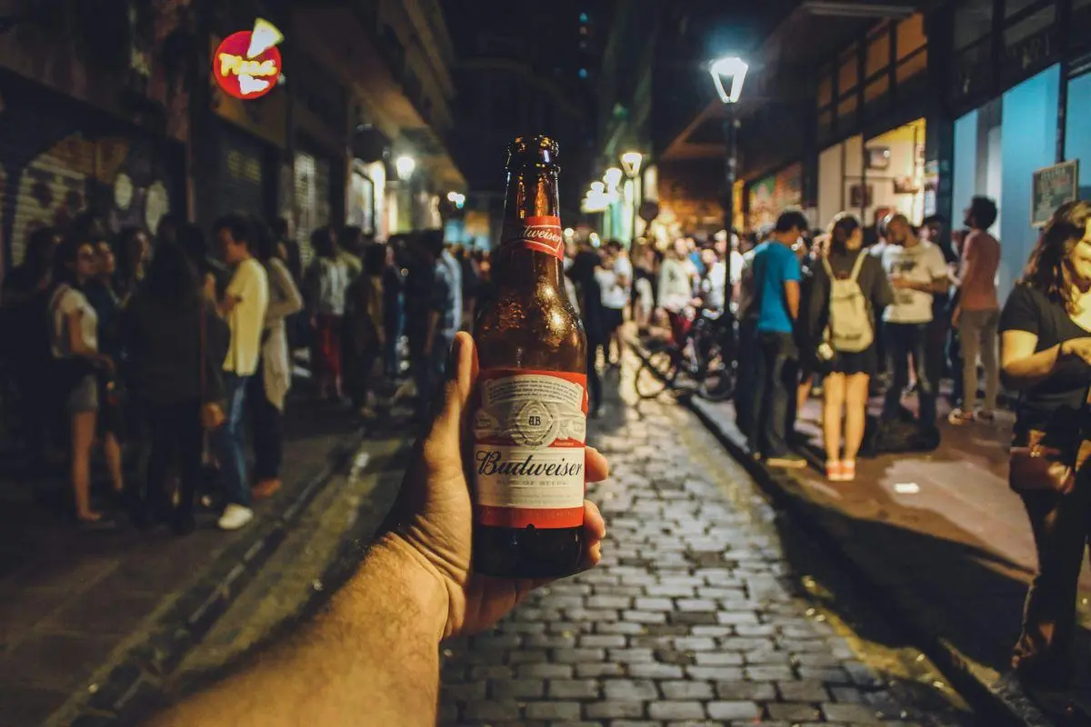 cerveja budweiser