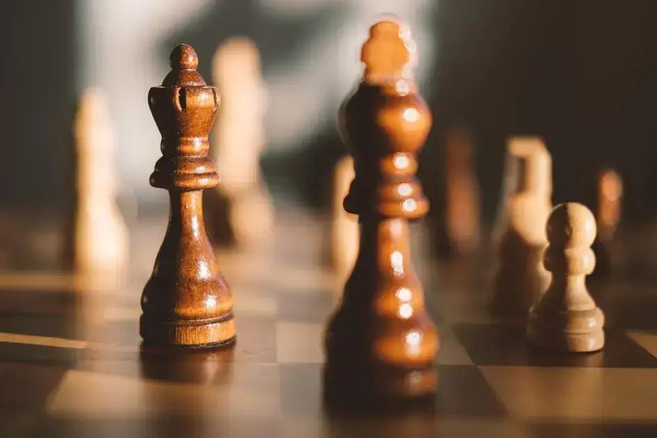 10 Dicas para Entender o Que é Nicho no Marketing Digital
