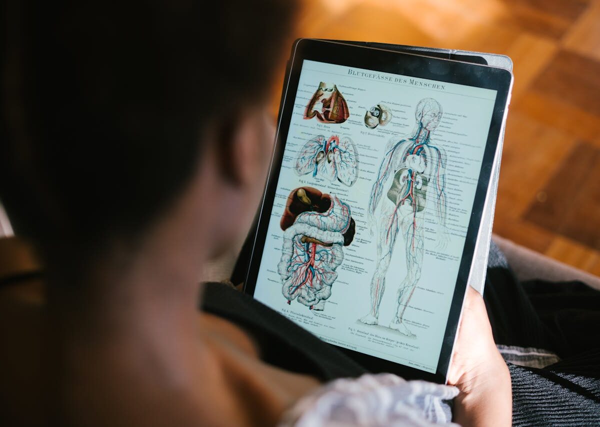 novo curso de medicina