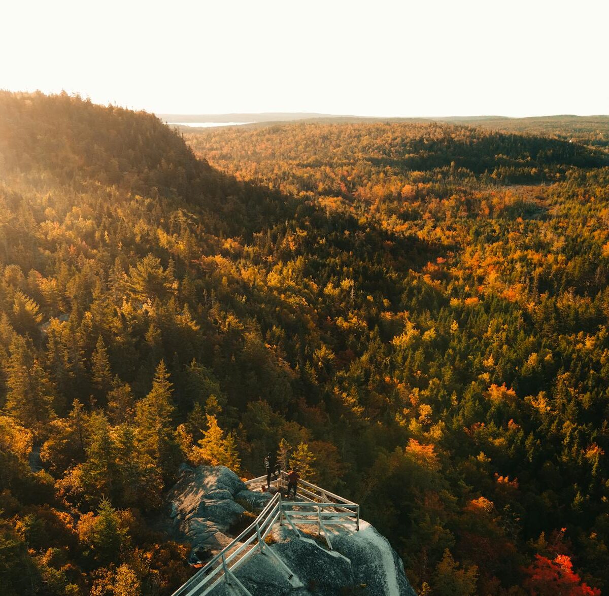 Como Mudar de Área Profissional Após os 30 Anos: Guia Completo para o Sucesso e a Realização — como mudar de área profissiona