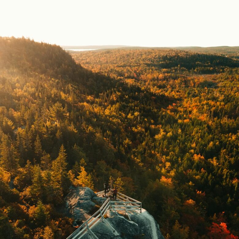 Como Mudar de Área Profissional Após os 30 Anos: Guia Completo para o Sucesso e a Realização — como mudar de área profissiona