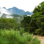 Como Treinar para uma Maratona: Cronograma Definitivo de 6 Meses para o Seu Sucesso — como treinar para uma maratona cronogra