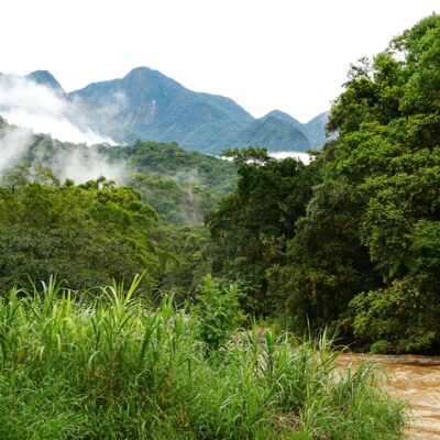 Como Treinar para uma Maratona: Cronograma Definitivo de 6 Meses para o Seu Sucesso — como treinar para uma maratona cronogra