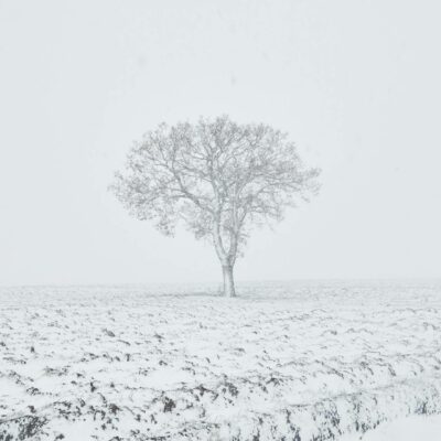 Gramado e Canela no Inverno: O Guia Completo para uma Viagem Inesquecível e Mágica! — guia completo para visitar gramado e ca