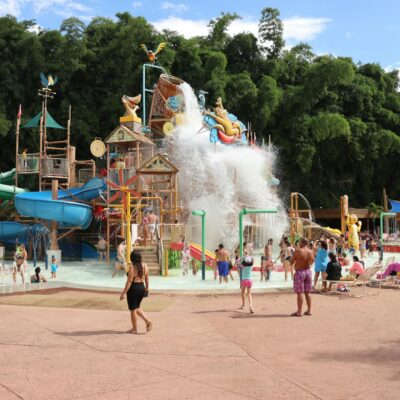 Alívio Natural e Comprovado: Os Melhores Chás para Reduzir Estresse e Ansiedade — melhores chás para reduzir o estresse e a a