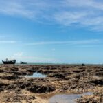 Melhores Praias do Nordeste para Família: O Guia Completo para Férias Inesquecíveis! — melhores praias do nordeste para visit