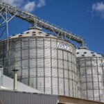 Tesouro Direto ou Poupança em 2025? Descubra Onde Seu Dinheiro Rende Mais! — tesouro direto ou poupança qual rende mais em 20