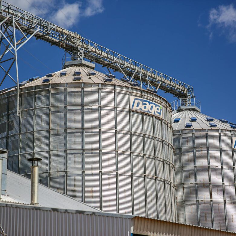 Tesouro Direto ou Poupança em 2025? Descubra Onde Seu Dinheiro Rende Mais! — tesouro direto ou poupança qual rende mais em 20