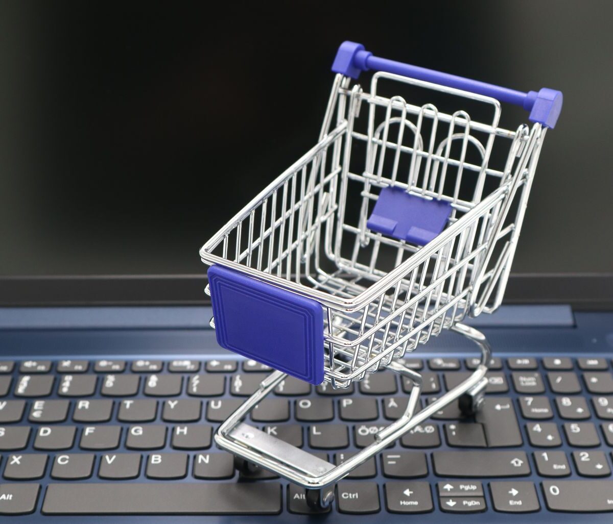 Como comprar pote hermético grande na web